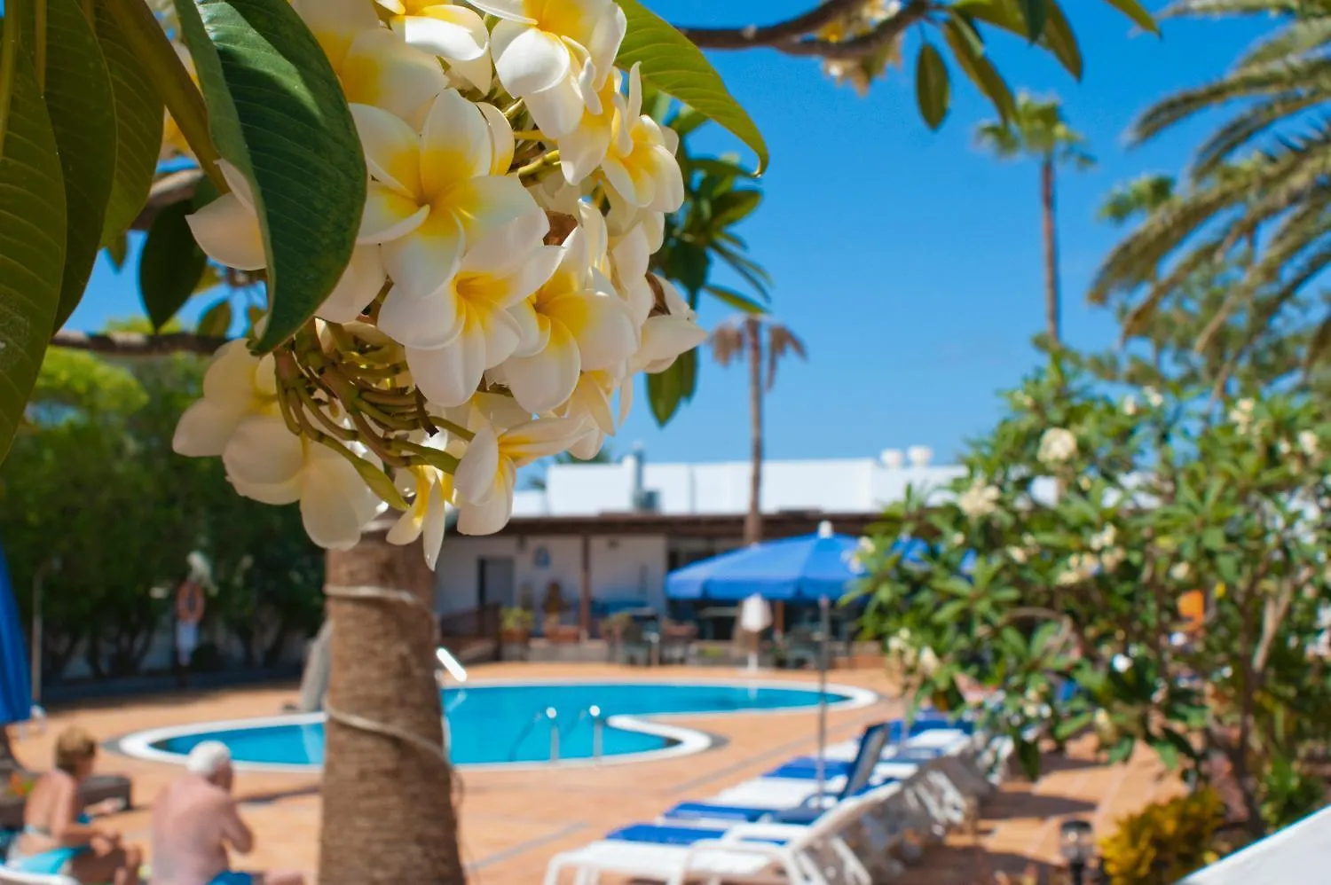 Apartamentos Fayna Puerto del Carmen  Apartment